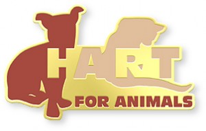 Pin Types: Soft Enamel