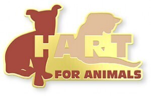 Pin Types: Soft Enamel